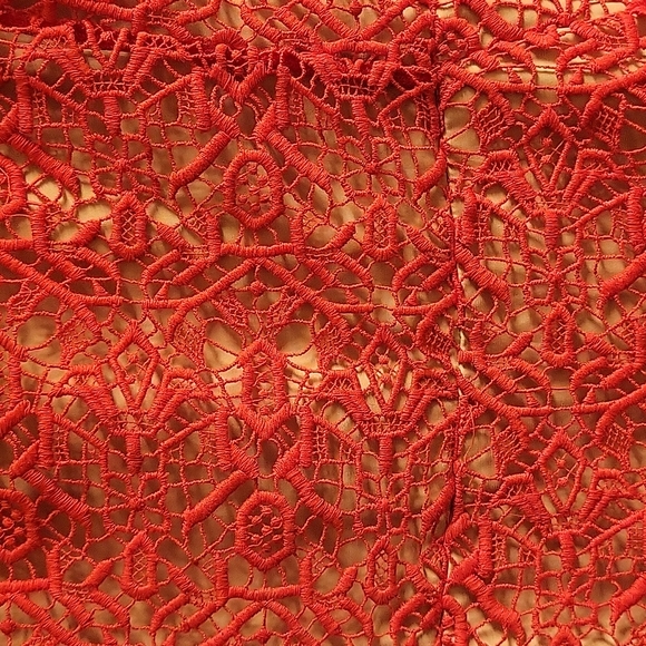 Alice by Temperley Dress - Picture 2 of 6